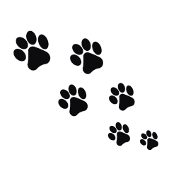 Pets